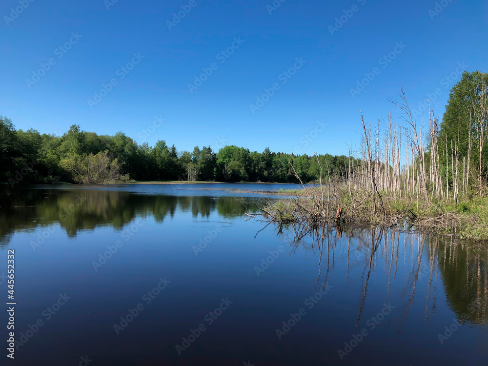 Calm on the lake in the afternoon, beautiful landscape