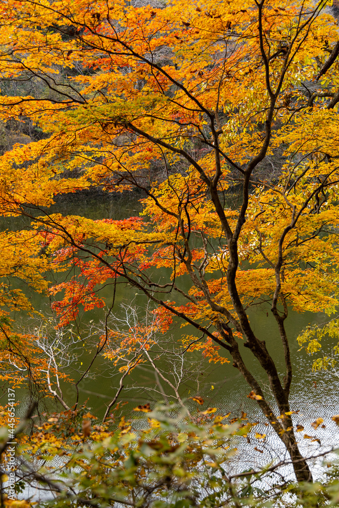 広島県帝釈峡、秋模様。
