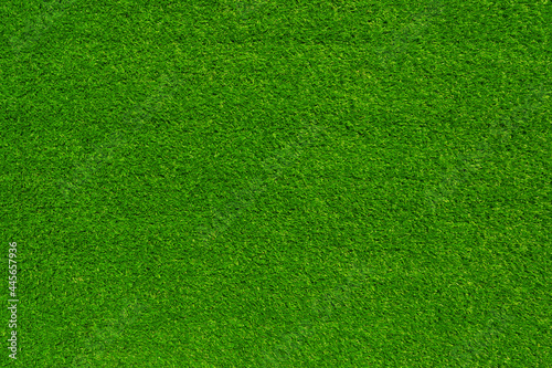 Green grass texture and background use for copy space