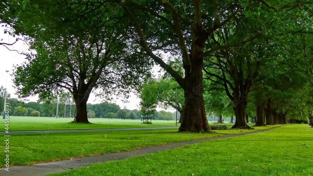 The neatly organized rows of trees in a park, the green lawns and the dense leaves, where people spend their leisure times The neatly organized rows of trees in a park, the green lawns and the dense leaves, where people spend their leisure times