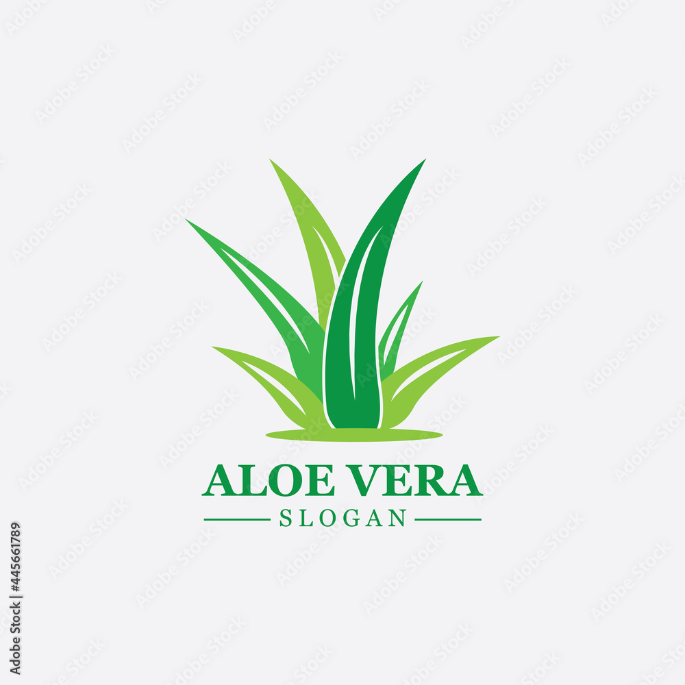 Green plant aloe vera logo vector icon symbol many benefits Green plant aloe vera logo vector icon symbol many benefits
