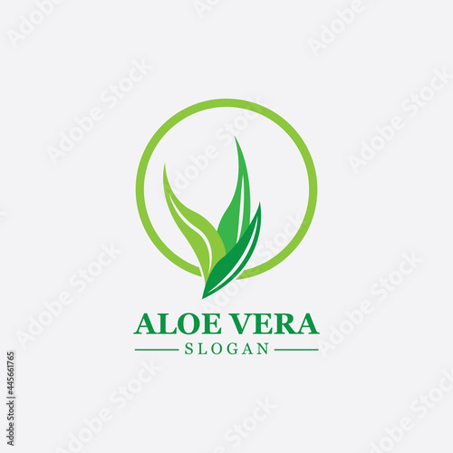 Green plant aloe vera logo vector icon symbol many benefits