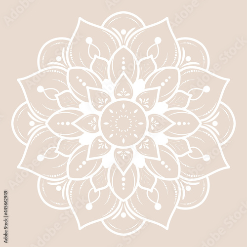white Flower Mandala with vintage floral style, Vector mandala Oriental pattern, Hand drawn decorative element