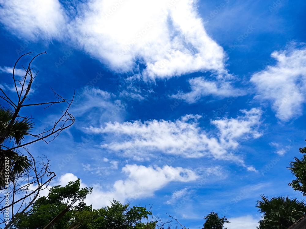 Obraz premium sky and clouds