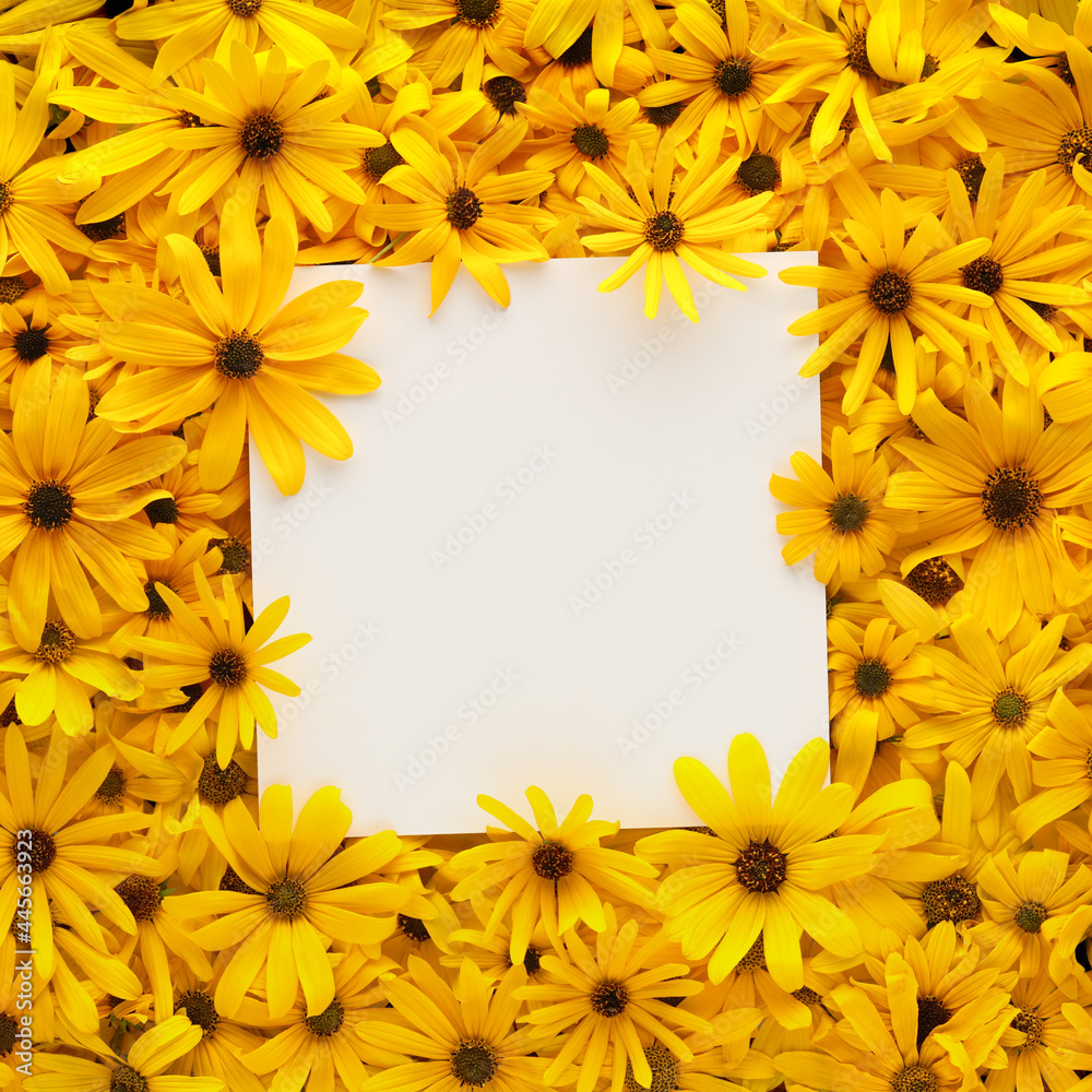 Wall of bright yellow flowers with square blank white card for copy space.