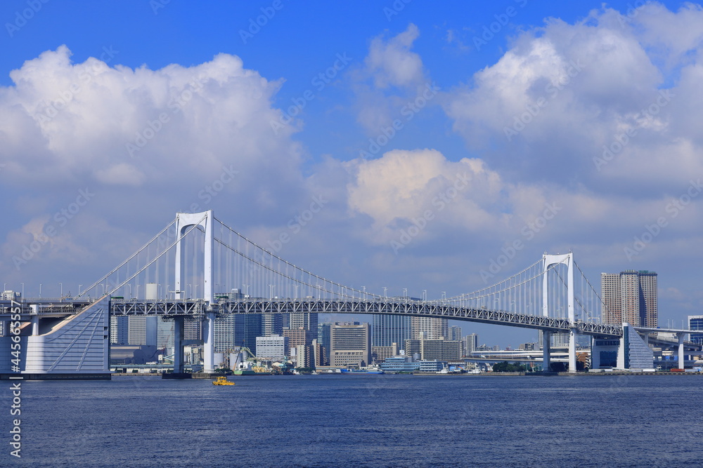 Fototapeta premium 豊洲から見えるレインボーブリッジ