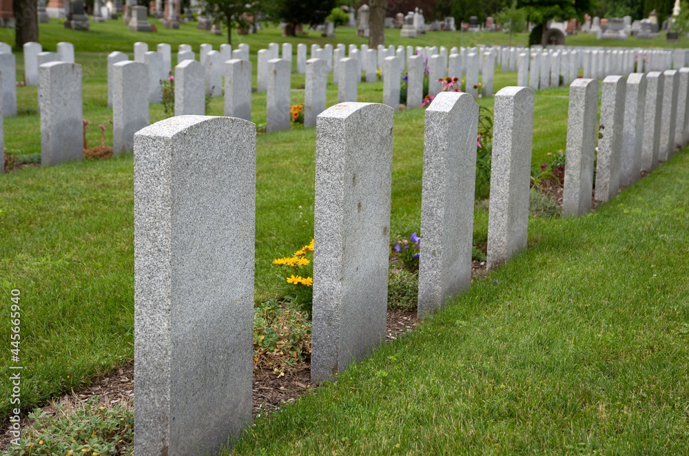 Naklejka premium Military Tombstones with Flowers Viewed in Diagonal