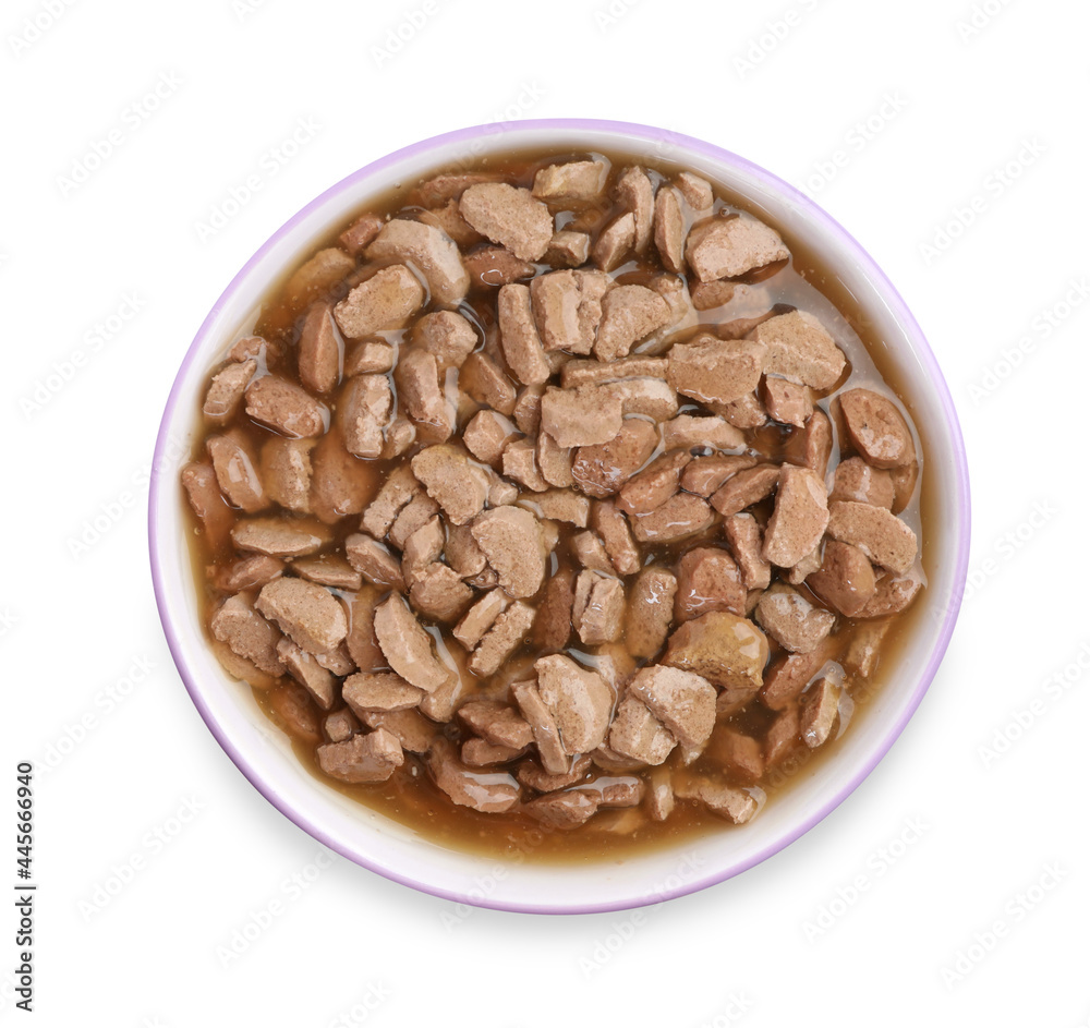Wet pet food in feeding bowl isolated on white, top view Wet pet food in feeding bowl isolated on white, top view