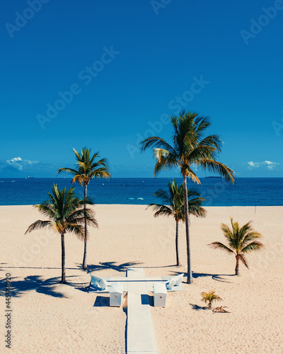 Fototapeta Naklejka Na Ścianę i Meble -  symmetrical palm trees at the entrance of the beach in florida