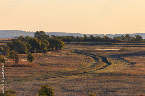Agricultural field during sunset.