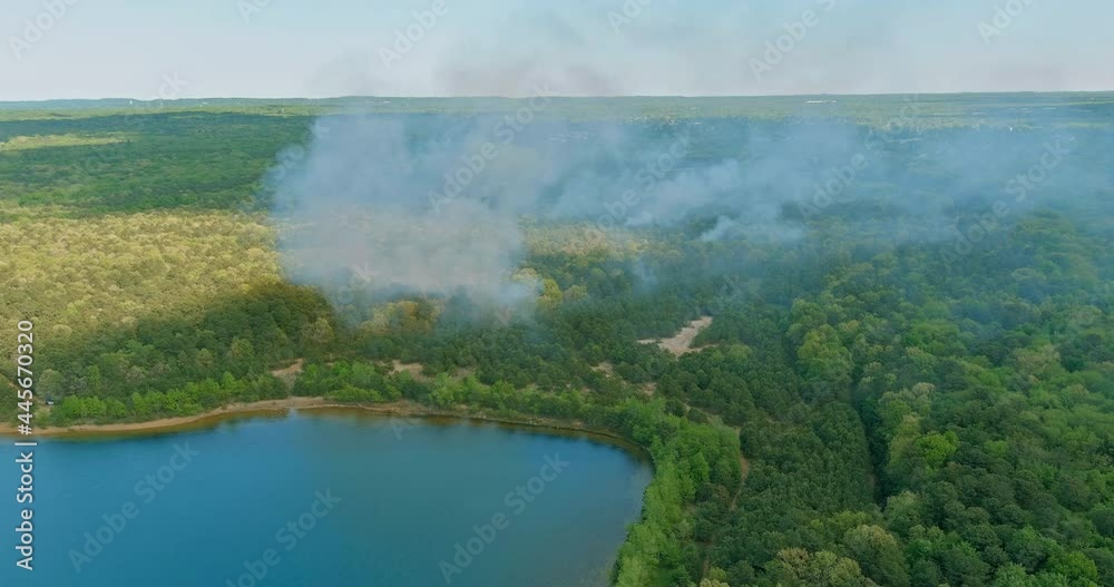 Forest fire burned trees wildfire, pollution a lot of smoke Forest fire burned trees wildfire, pollution a lot of smoke