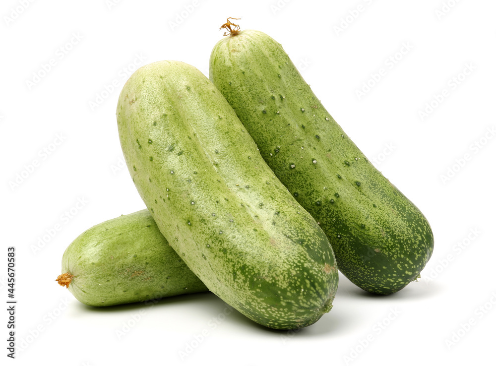 Green cucumber on the white background Green cucumber on the white background
