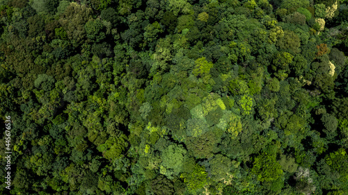 Aerial top view tropical rainforest jungles of Southeast Asia, Rainforest ecosystem and healthy environment background, Texture of green tree forest view from above.