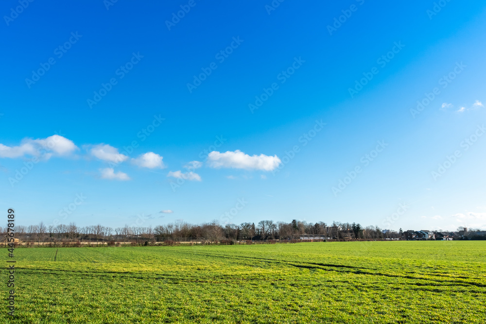 Green fields under the blue sky and white clouds, beautiful natural scenery