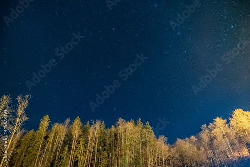 Low angle view of the beautiful starry sky above the woods