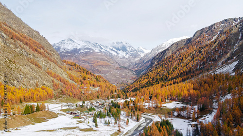 In Gran Paradiso National Park in Turin, Italy in the autumn, the mountains are patially covered in white snow, and the trees on the mountains have turned yellow. beautiful natural scenery