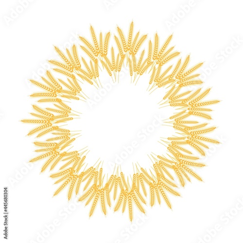 Spikelets of wheat. Collected in a wreath. Spikelets with grains. Vector illustration.