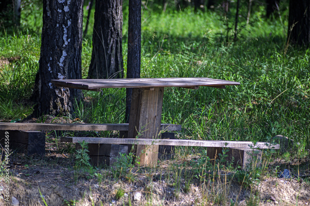 A table for recreation made of improvised materials on a tourist trail in the forest A table for recreation made of improvised materials on a tourist trail in the forest