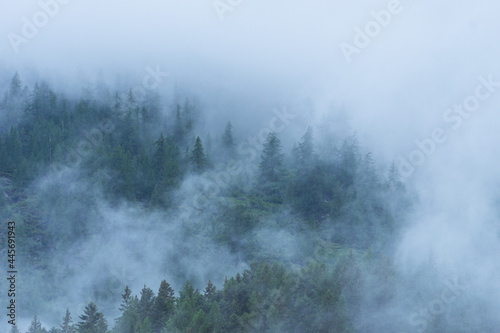 Fog and clouds in the woods of the Anzasca Valley, in the Italian Alps, near the town of Macugnaga, Italy - June 2021