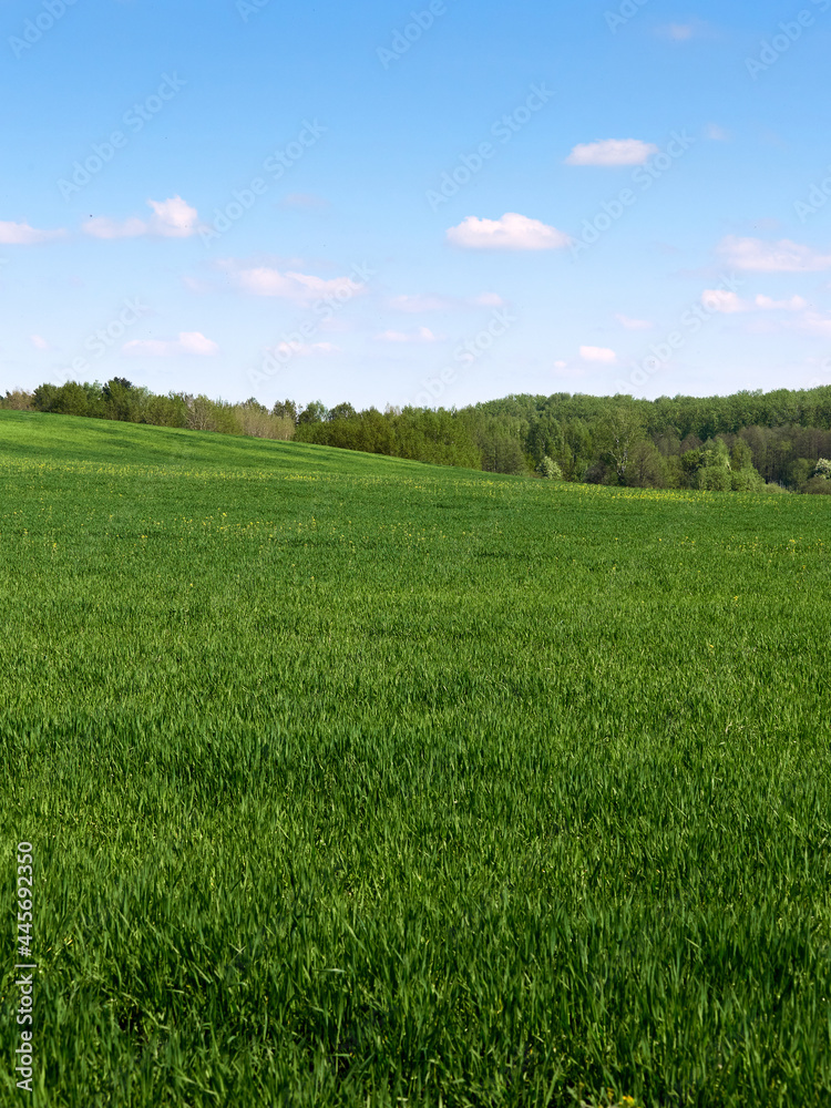 Blue sky with white clouds and green hilly field.