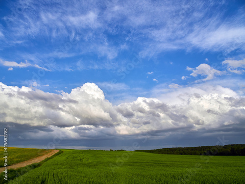 Summer landscape with low cumulus clouds, green field and road