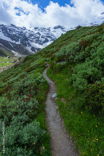 The woods, meadows, pastures and glaciers of Monte Rosa during a summer day, near the town of Macugnaga, Italy - July 2021.