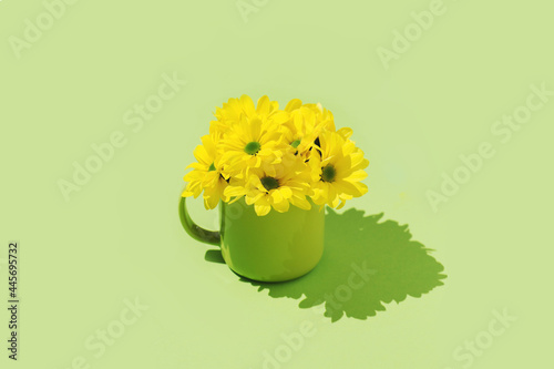 Yellow daisy chamomile flowers green background minimal concept background cover image wallpaper