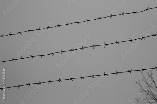 barbed wire on the fence in cloudy weather
