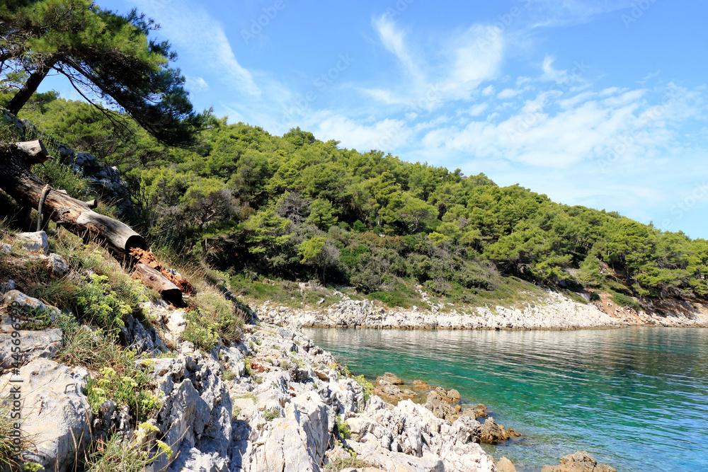 Vale Skura bay near Veli losinj, Croatia Vale Skura bay near Veli losinj, Croatia