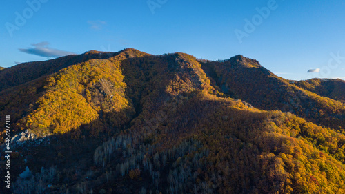 Height 611 in Dalnegorsk  where a UFO fell on January 29  1986. View from above. The top of the mountain  overgrown with autumn trees.