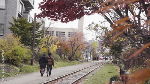 Wallpaper Mural Tourists couple holding hand walking along the railway during the autumn leaves season at Sapporo, Japan Torontodigital.ca