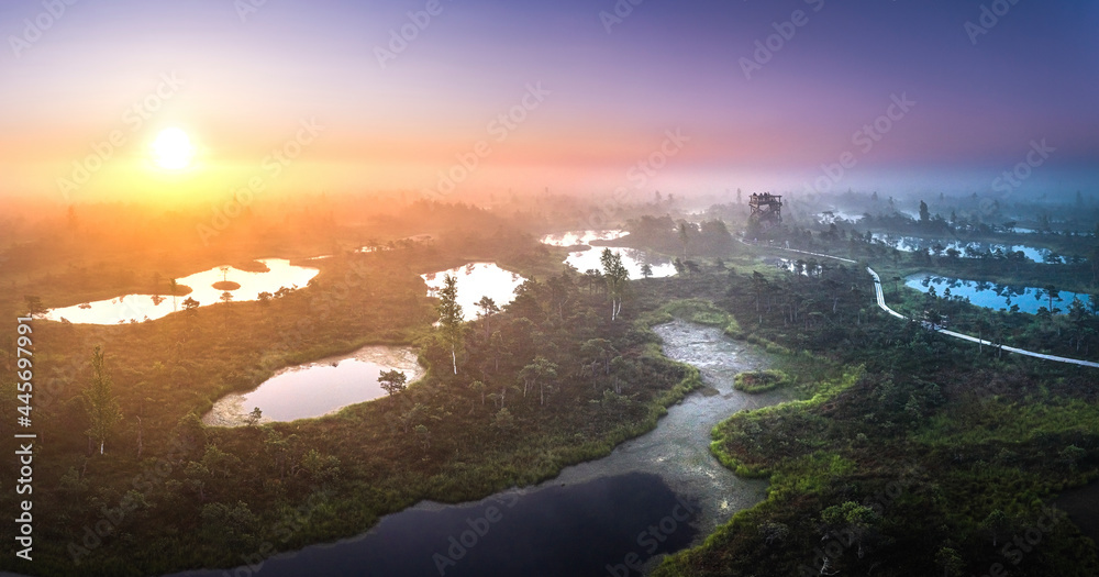 Colorful morning sunrise over the bog of national park of Ķemeri. Wooden trail leading through wetlands covered in fog. 