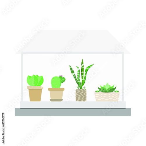 Cactus plant house on pot  Indoor microgreen, dedicated garden rooms environments. flat design vector