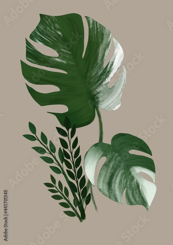 hand drawn leaves