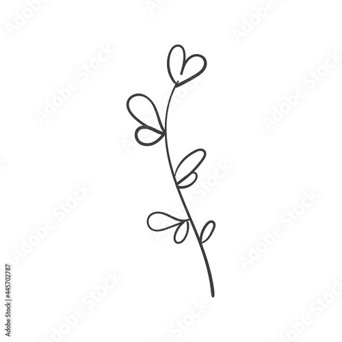 vintage floral elements doodle vector. Elements flowers  branches  swashes and flourishes