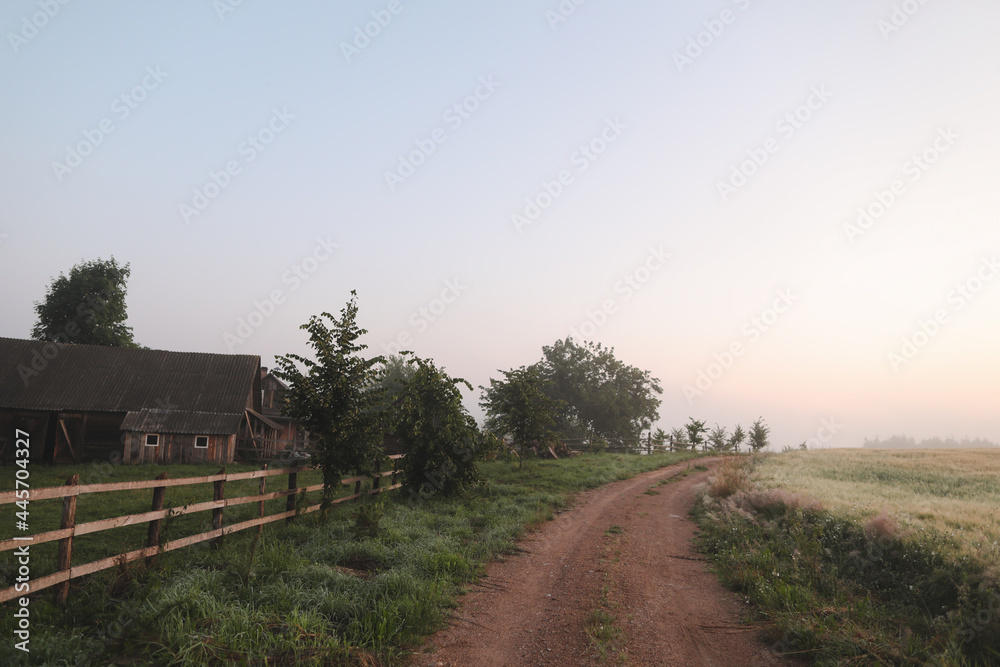 picturesque field and scenic road in the countryside at sunrise in summer