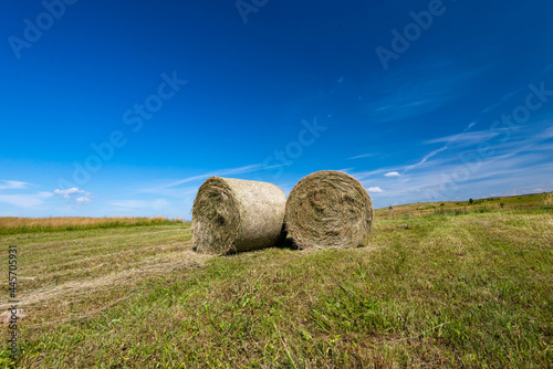 Round hale bays on the top of a hill at summertime, deep blue sky on the background.