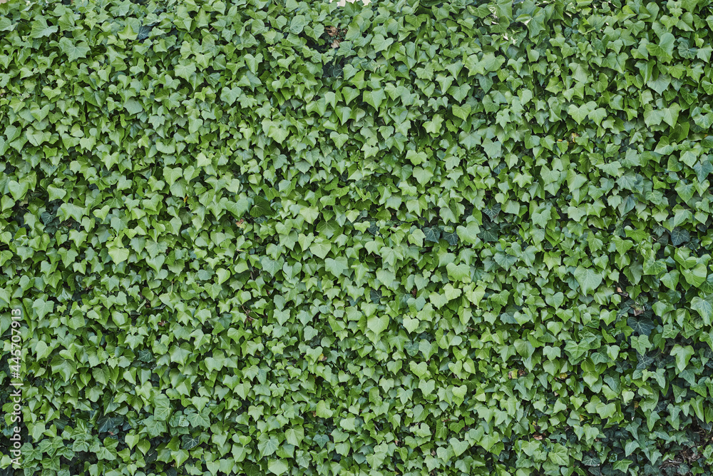 色々な背景_緑_VariousMaterial_Green
