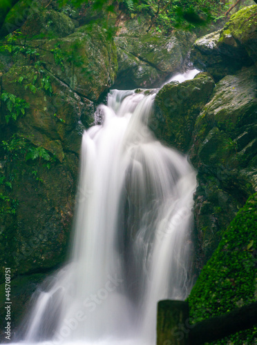 Takizawa Hamamatsu Japão