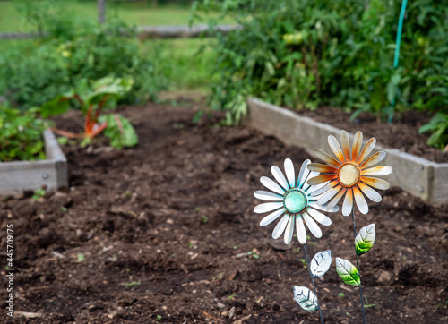 Metal flower garden decoratin in raised bed vegetable garden photo