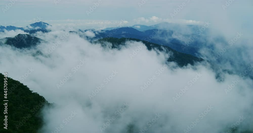 Time Lapse of Fog Rolling in Fast At The Cameron Highlands, Malaysia Time Lapse of Fog Rolling in Fast At The Cameron Highlands, Malaysia