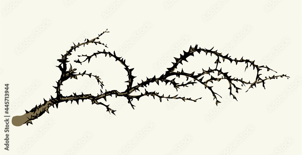 Branch of Blackthorn. Vector drawing