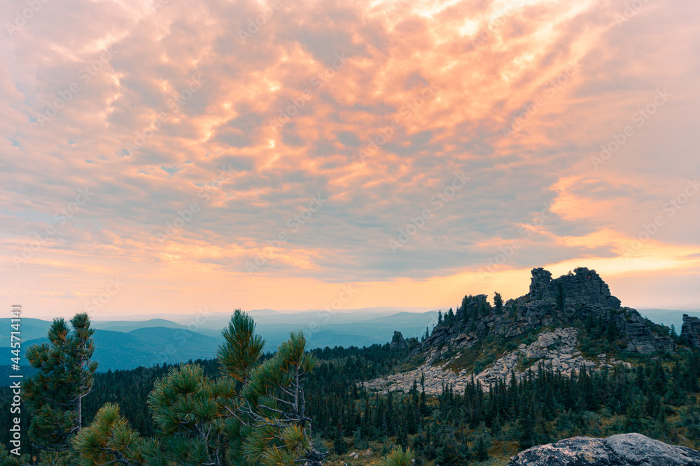 Dramatic colorful sunset sky over mountain range at the top in autumn. Forest valley with fir trees and pine in the foreground.