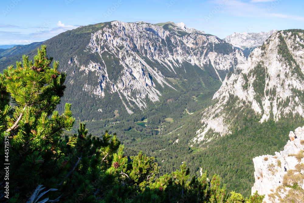 Fototapeta premium A panoramic view on the Alpine mountain chains in Austria. The slopes are partially overgrown with small bushes, higher parts baren. Dense forest on the bottom. Clear and sunny day. Serenity