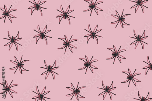 Halloween pattern made of black spiders on pink background. Minimal Halloween concept.