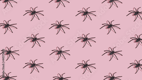 Halloween pattern made of black spiders on pink background. Minimal Halloween concept. © Anita