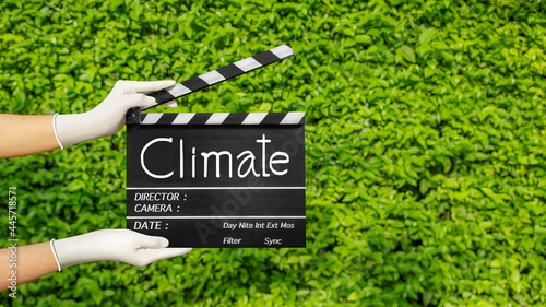 Hands holding film slate or movie clapper board on plant-green nature.Climate change concept.