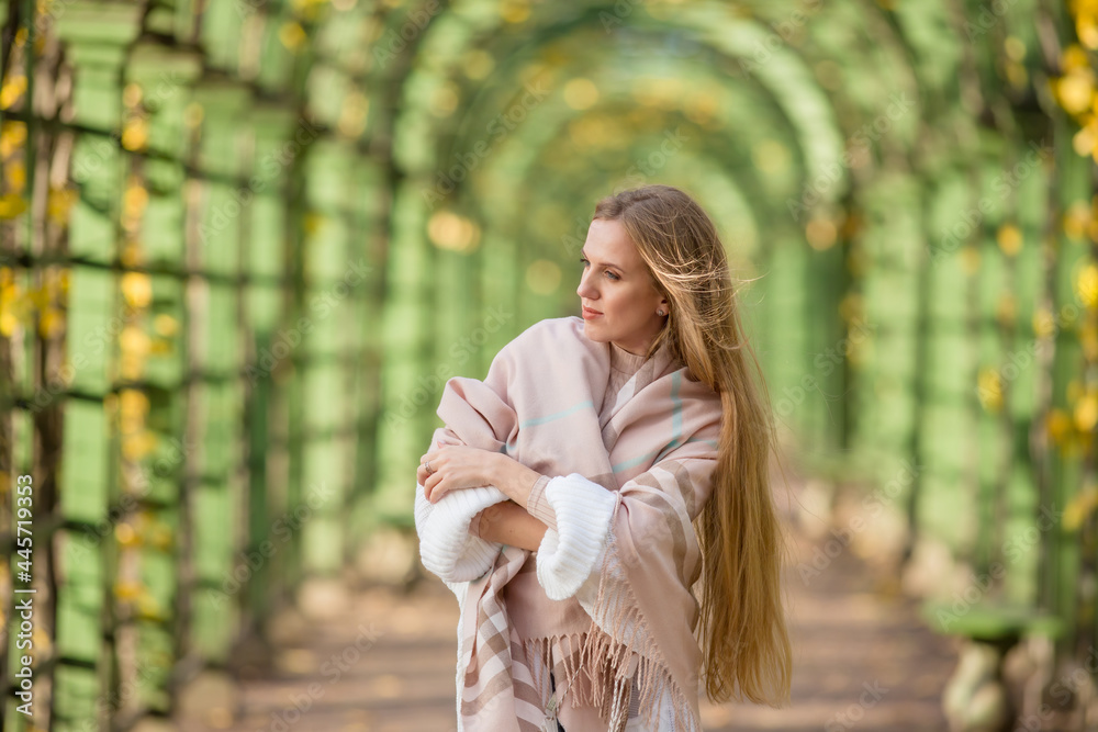 Beautiful young woman with light brown hair in a picturesque alley in autumn park. An attractive woman wrapped herself in a plaid. Fall season. Autumn mood. Beautiful young woman with light brown hair in a picturesque alley in autumn park. An attractive woman wrapped herself in a plaid. Fall season. Autumn mood.