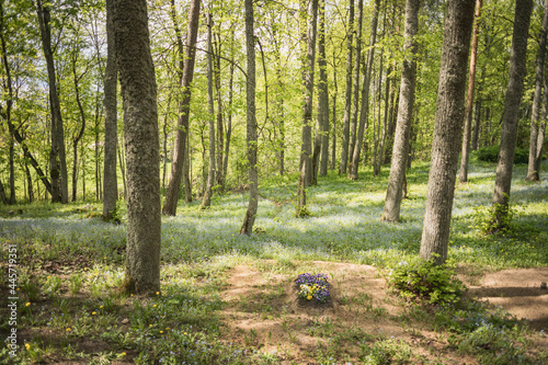 Картината върху платно lonely grave with graveflowers in countryside forest cemetery in Latvia