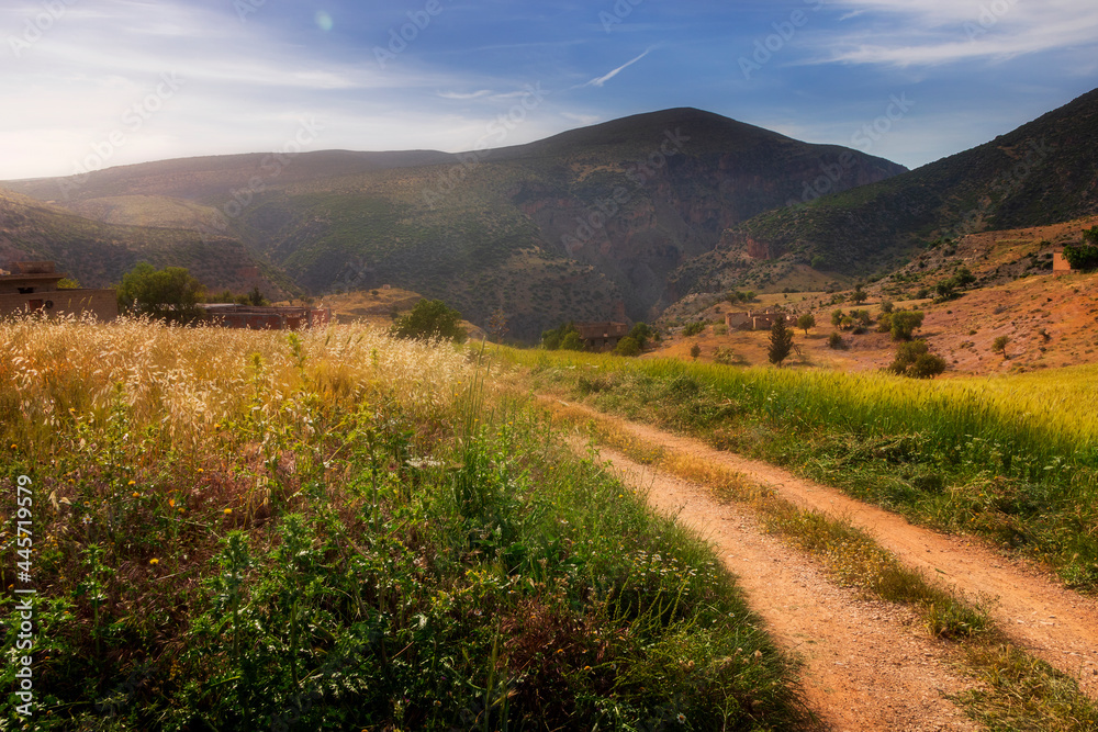 Naklejka premium landscape photo for the nature at the mountains in Bougaa sétif algeria